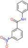 3-nitro-N-phenylbenzamide