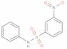 3-Nitro-N-phenylbenzenesulfonamide