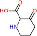 3-oxopiperidine-2-carboxylic acid