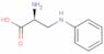 3-(phenylamino)alanine