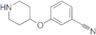 3-(4-Piperidinyloxy)benzonitrile