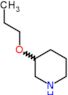 3-propoxypiperidine