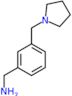 1-[3-(pyrrolidin-1-ylmethyl)phenyl]methanamine
