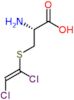 S-(1,2-Dichlorovinyl)-L-cysteine