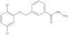 3-[(2,5-Dichlorophenoxy)methyl]benzoic acid hydrazide