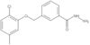 3-[(2-Chloro-5-methylphenoxy)methyl]benzoic acid hydrazide