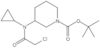 1,1-Dimethylethyl 3-[(2-chloroacetyl)cyclopropylamino]-1-piperidinecarboxylate