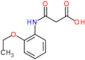 3-(2-ethoxyanilino)-3-oxo-propanoic acid