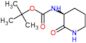 tert-butyl [(3S)-2-oxopiperidin-3-yl]carbamate