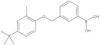 B-[3-[[4-(1,1-Dimethylethyl)-2-methylphenoxy]methyl]phenyl]boronic acid