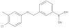 B-[3-[(4-Chloro-3-methylphenoxy)methyl]phenyl]boronic acid