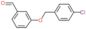 3-[(4-chlorobenzyl)oxy]benzaldehyde