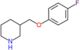 3-[(4-fluorophenoxy)methyl]piperidine