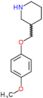 3-[(4-methoxyphenoxy)methyl]piperidine