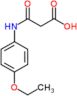 3-[(4-ethoxyphenyl)amino]-3-oxopropanoic acid