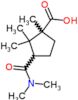 3-(dimethylcarbamoyl)-1,2,2-trimethylcyclopentanecarboxylic acid