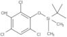 Phenol, 2,4,6-trichloro-3-[[(1,1-dimethylethyl)dimethylsilyl]oxy]-