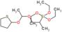 triethoxy-[1-methyl-2-(1-tetrahydrothiophen-2-yloxyethoxy)ethyl]silane