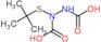 1-(tert-butylsulfanyl)hydrazine-1,2-dicarboxylic acid