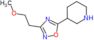 3-(2-methoxyethyl)-5-(3-piperidyl)-1,2,4-oxadiazole