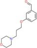 3-[3-(4-Morpholinyl)propoxy]benzaldehyde