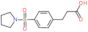 3-[4-(pyrrolidin-1-ylsulfonyl)phenyl]propanoic acid