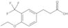 4-Ethoxy-3-(trifluoromethyl)benzenepropanoic acid