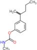 Phenol, 3-(1-methylbutyl)-, 1-(N-methylcarbamate)