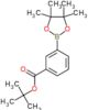 tert-butyl 3-(4,4,5,5-tetramethyl-1,3,2-dioxaborolan-2-yl)benzoate