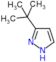 3-(1,1-Dimethylethyl)-1H-pyrazole