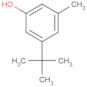 5-tert-butyl-m-cresol