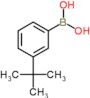 (3-tert-butylphenyl)boronic acid