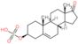 Dehydroepiandrosterone sulfate