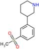 3-[3-(methylsulfonyl)phenyl]piperidine