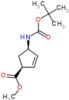 (1S,4R)-4-[[(1,1-diMethylethoxy)carbonyl]amino]- 2-Cyclopentene-1-carboxylic acid Methyl ester