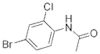 4'-Bromo-2'-chloroacetanilide