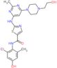 N-(2-Chloro-4-hydroxy-6-methylphenyl)-2-[[6-[4-(2-hydroxyethyl)-1-piperazinyl]-2-methyl-4-pyrimidi…