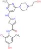N-(2-chloro-4-hydroxy-6-methylphenyl)-2-({6-[4-(2-hydroxyethyl)piperazin-1-yl]-2-methylpyrimidin-4-yl}amino)-1,3-thiazole-5-carboxamide