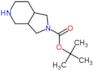 tert-butyl octahydro-2H-pyrrolo[3,4-c]pyridine-2-carboxylate