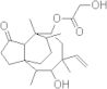 Pléuromutiline