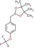 4,4,5,5-tetramethyl-2-[4-(trifluoromethoxy)benzyl]-1,3,2-dioxaborolane