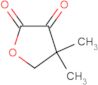 dihydro-4,4-dimethyl-2,3-furandione