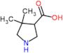 4,4-dimethylpyrrolidine-3-carboxylic acid