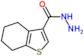 4,5,6,7-tetrahydro-1-benzothiophene-3-carbohydrazide