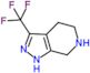 3-(trifluoromethyl)-4,5,6,7-tetrahydro-1H-pyrazolo[3,4-c]pyridine