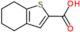 4,5,6,7-tetrahydro-1-benzothiophene-2-carboxylate