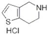 Thieno[3,2-c]pyridine, 4,5,6,7-tetrahydro-, hydrochloride (1:1)