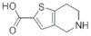 4,5,6,7-tetrahydrothieno[3,2-c]pyridine-2-carboxylic acid