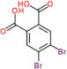 4,5-dibromobenzene-1,2-dicarboxylic acid