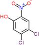 4,5-dichloro-2-nitrophenol